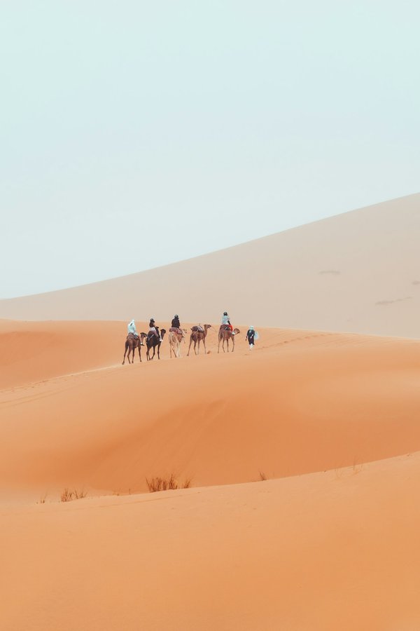 Quels sont les meilleurs itinéraires pour un trek dans les montagnes de Simien, Éthiopie?