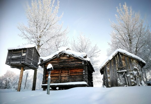 Comment découvrir la culture des Samis en Laponie suédoise : visites et expériences authentiques ?